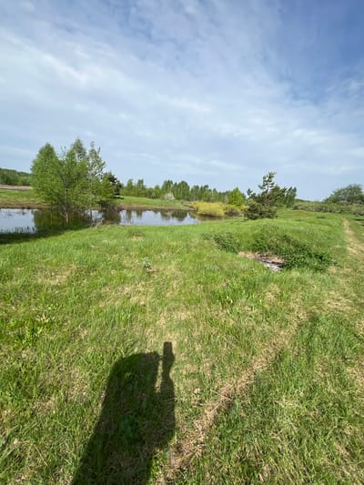 The scene is a green field with a body of water (likely a lake or pond) running along its edge. Trees line the opposite bank of the water. The sky is partly cloudy. The shadow of a person taking the photo is visible in the grass. Given the specified location as Pustyn', Russia, this could be a natural area within or near the city. There are no people or subjects visible in the picture besides the shadow. The action is the taking of a picture. The interaction is between the person and the environment.