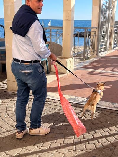The scene depicts an outdoor promenade in Civitavecchia, Italy, under bright sunlight. A male subject, observed in profile, stands on a paved surface. He has dark hair, a light blue long-sleeved shirt, a dark blue v-neck sweater draped over his shoulders, blue jeans with a black belt, and light-colored sneakers (one displaying "U.S. POLO ASSN. 1890," the other "U.S. POLO ASSN."). He holds a black dog leash in his right hand, to which a long, translucent red plastic bag with small white dots is attached or held concurrently.

A small, light brown dog is visible in the foreground, attached to the leash via a dark harness, facing away from the viewer. Its tail is raised, and its rear legs are slightly bent.

The immediate environment features a walkway composed of reddish-brown square pavers arranged in a curved pattern. To the right, stone pillars support an overhead structure, with a metal railing visible beyond them. In the background, a clear blue sky meets the horizon of a calm blue sea, where two small sailboats are visible in the distance. Strong shadows are cast on the ground, indicating direct overhead sunlight. A light blue chair and a white table are partially visible to the far left.