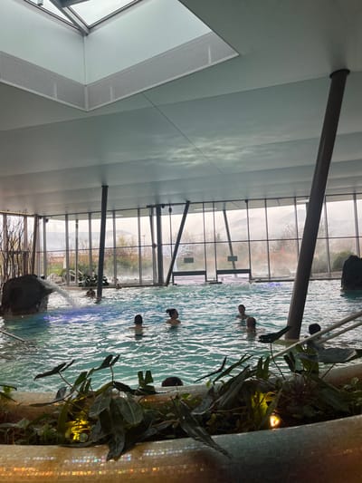 This image depicts an indoor aquatic facility, likely a thermal bath or swimming pool, situated in Ribeauvillé, France. The scene is dominated by a large, light-blue pool containing approximately ten individuals, primarily adults, partially submerged and appearing to engage in leisure activities.
In the foreground, a planter box with iridescent mosaic tiles holds various green-leafed plants, some illuminated by small embedded lights. The pool water exhibits gentle ripples, and on the left, a dark rock formation features a waterfall cascading into the water, creating a foamy, illuminated splash. A person is observed near this waterfall. A metallic handrail is visible on the right, extending into the pool.
The facility features a high, light-colored ceiling with a large central skylight, flanked by perforated ventilation grilles. Several dark, angled support columns extend from the pool area to the ceiling. The entire background consists of a full wall of floor-to-ceiling windows, offering an expansive view of an overcast outdoor landscape. Through these windows, distant hills or mountains are visible under a grey sky, along with sparse trees and hints of infrastructure or buildings. A slight mist can be observed rising from the water near the windows, suggesting a warm pool environment contrasting with potentially cooler outdoor temperatures.