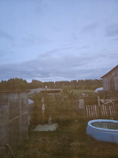 The image depicts an outdoor, semi-rural landscape under an overcast, light blue-grey sky in Novaya Or'ya, Russia. The foreground and mid-ground feature an overgrown yard or garden area with varying densities of grass and green foliage.
On the left side of the mid-ground, a large, rectangular structure, possibly a shed or a greenhouse, is constructed from corrugated material, possibly metal or plastic sheeting, exhibiting faded text and markings. In the center mid-ground, a decorative vertical pole is present, painted in segments of red, green, and a lighter color, topped with a small, house-like cap. A white cloth with a yellow, sun-like emblem is suspended from the pole, and multiple clothes pegs are attached to a line extending horizontally from it. Adjacent to the pole, positioned on a small, raised green platform, stands a statue or figurine of a dog, primarily light-colored with darker markings, resembling a husky.
In the bottom right corner, a circular, blue inflatable swimming pool, partially filled with water, rests on the grass. The water surface reflects the muted tones of the cloudy sky. Various rustic fences, constructed from wooden planks and wire mesh, are distributed across the mid-ground and background, delineating property sections. The background is dominated by a dense line of trees, suggesting a forest, which forms the horizon. Additional structures are visible in the background, including a building with a corrugated roof to the right of the forest line and a white, arched tunnel-like structure further in the distance. No individuals are present in the scene.