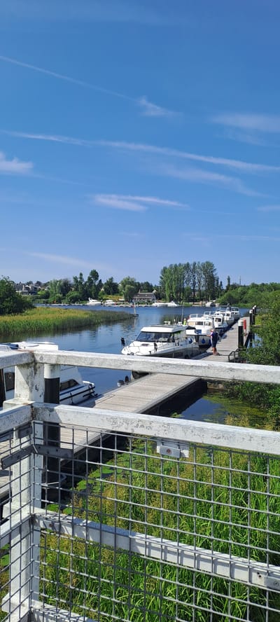 This is a vertical, eye-level, full shot of a marina on a sunny day. The foreground is dominated by a metal railing and fence, with lush green reeds growing beneath. Beyond the railing, a wooden dock extends into the water, lined with several white motorboats. A person in a blue shirt stands on the dock, appearing to attend to one of the boats. The water is a deep blue, with some green algae or plants visible near the edges. In the mid-ground, across the water, is a green shoreline with trees and houses. The background features a clear blue sky with thin, wispy white clouds. The scene depicts a typical summer day at a recreational boating facility. The location is identified as Enniskillen, United Kingdom.