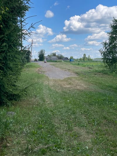 In a rural setting resembling Калодзежскі сельскі Савет, Belarus, a dirt road winds through a grassy landscape under a bright blue sky dotted with white clouds. On the left, a large evergreen tree dominates the foreground, its branches extending towards the road. Further down the road, a person is seen riding a scooter or similar vehicle, heading away from the viewer. The area is characterized by a mix of green grass, dry patches, and scattered vegetation. In the distance, several houses with grey roofs and a blue-roofed structure are visible, interspersed with trees and fields. Power lines are strung across the scene, supported by wooden poles. The overall impression is one of a peaceful summer day in a countryside village.