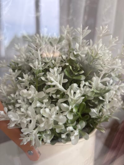 A close-up, medium shot captures a potted arrangement of small, white and green artificial plants. The plants are clustered together in a light-colored ceramic pot, with a portion of a light orange strap, secured by a silver rivet, visible at the bottom left. The background consists of a blurred, translucent curtain, suggesting an indoor setting. Light filters through the curtain, creating a soft, diffused illumination. The scene appears to be a still life, with no people or animals present. The image does not contain any information about the city of Kamenka, Russia.
