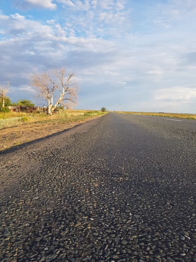 The image depicts a rural road leading towards the horizon, with a sparse, dry tree on the left side of the frame. The road appears to be paved with asphalt and gravel. The environment is characterized by dry, golden grass and low vegetation lining the roadside. In the distance, power lines and poles are visible, suggesting a sparsely populated area. The sky is partly cloudy with a mix of blue sky and white and gray clouds, illuminated by what appears to be either early morning or late afternoon sunlight, casting long shadows. A weathered wooden fence can be seen behind the tree. The location is identified as a rural road in the Dolen Rural District, Kazakhstan.
