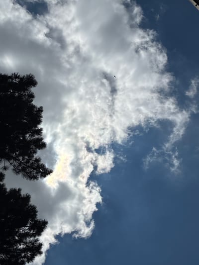 The image is a low-angle shot of the sky taken from Khashuri, Georgia. In the foreground on the left, the dark silhouette of a pine tree branches and needles is visible. The sky is a mixture of deep blue and white clouds, with a small bird in flight in the upper center. Sunlight is filtering through the clouds, creating some bright, almost iridescent patches. The overall impression is of a dynamic, natural scene.