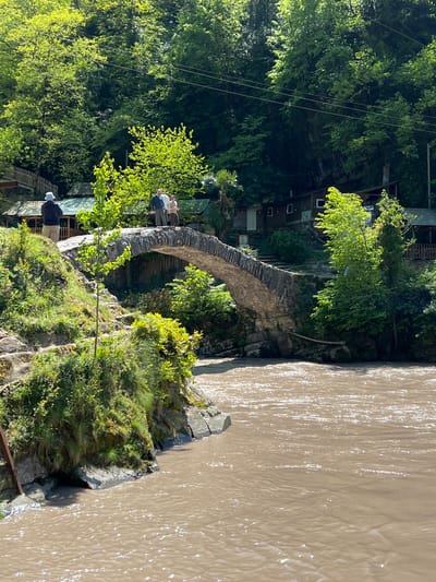 The image displays a picturesque natural landscape in Kveda Makhuntseti, Georgia, centered around an ancient-looking stone arched bridge spanning a broad, muddy river. The scene is illuminated by bright daylight, suggesting a clear and sunny day, with sunlight glistening on the rippled surface of the brownish water as it flows from the left side of the frame towards the right.
The sturdy, grey stone bridge crosses from the left bank to the right, with lush green vegetation, including trees, shrubs, and grass, covering the surrounding banks and hillsides. Several people are visible: two individuals stand on the bridge, appearing to observe the river or their surroundings, and another person in a white hat is seen closer to the riverbank on the left. Behind the bridge and further into the dense foliage, several small wooden structures or buildings are nestled amongst the trees, suggesting human habitation or facilities within this natural setting. Overhead, faint wires, possibly power lines, traverse the top portion of the dense tree canopy on the left. The overall impression is one of a serene, natural environment, likely a popular spot for visitors to appreciate the historical architecture and natural beauty. No discernible text is visible in the image.