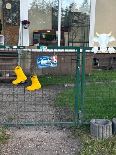 This image depicts a green metal gate in front of a building. On the gate, two bright yellow Crocs boots are hung. To the right of the boots, a blue sign with white lettering reads "Es gibt sooo viele Hunde auf der Welt und ausgerechnet hier lebt der Beste." which translates to "There are so many dogs in the world and it's precisely here that the best one lives." A cartoon illustration of a dog is on the sign. Above the gate, a sign on the building reads "Vorsicht bissiger Hund" which translates to "Beware of biting dog". A stylized drawing of a cow's head is attached to the top right of the gate. The background includes a building with large windows, a bird cage, and green grass. The scene is located in Wustermark, Germany.