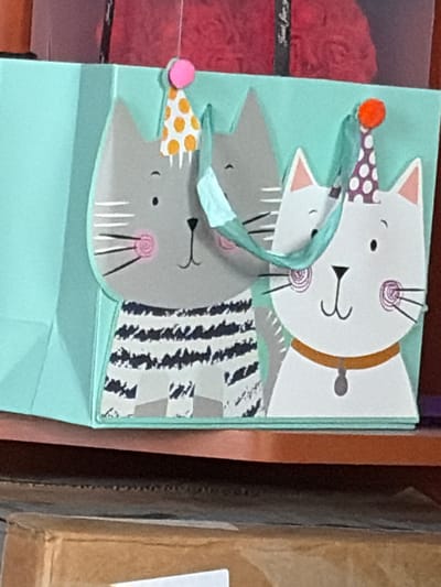 The image shows a close-up of a light blue gift bag with two cartoon cats printed on it. The cat on the left is gray with a black and white striped shirt and a polka-dot party hat. The cat on the right is white with a purple polka-dot party hat and a brown collar. Both cats have pink circles on their cheeks and black whiskers. A light blue ribbon is draped between the two cats. The gift bag is sitting on a wooden shelf. The image is taken from a slightly elevated angle, and the background is blurred. There is no discernible connection to the city of Oława, Poland.