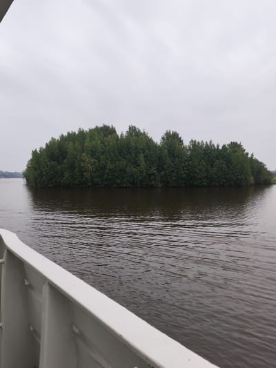 The image depicts a body of water, likely a river or lake, with a dense, green tree-covered island in the middle ground. The sky is overcast and grey. In the foreground, the white railing of a boat is visible, indicating the perspective is from a vessel on the water. The water exhibits small ripples and reflects the muted tones of the sky and the island. The island itself appears to be a small, natural landmass covered in a variety of trees, creating a lush, green expanse. The overall scene suggests a natural, possibly rural or semi-rural, environment. Without further information, the specific location in Goritsy, Russia cannot be definitively determined from the visual elements alone.