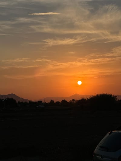 This landscape photograph captures a vibrant sunset over a rural or semi-rural scene in Los Palacios, Spain. The bright, circular sun, a focal point of brilliant orange, is positioned prominently in the mid-right portion of the sky. The sky itself is a gradient of warm hues, transitioning from a soft, hazy blue-grey on the far left to intense oranges and yellows closer to the sun. Long, wispy clouds, likely cirrus or contrails, stretch horizontally across the sky, catching the sunset's glow. A few tiny, dark specks, possibly birds, are visible against the bright sky.
The lower and right portions of the image are rendered in deep silhouette. A dense line of dark trees or bushes forms a stark, jagged outline against the colorful horizon, suggesting an area of significant vegetation. Beyond these trees, the faint silhouettes of distant mountains are visible, indicating a varied topography. On the far right edge, a portion of a light-colored vehicle, possibly a small truck or van, is visible, mostly in shadow with subtle reflections on its surface. The foreground consists of dark, unlit ground, likely a field or natural terrain. The scene evokes a sense of tranquility and the beauty of the natural world at dusk. There is no visible text.