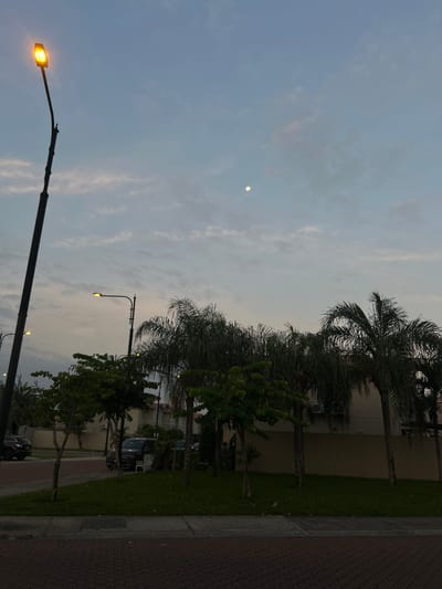 The image presents a street scene in La Aurora, Ecuador at dusk. A paved sidewalk runs vertically along the right edge of the frame. Adjacent to it is a strip of green grass separating it from a beige wall. A line of palm trees and smaller leafy trees runs along the wall.
Streetlights are visible, one prominently in the lower left corner with its light illuminated. Other lampposts extend up along the street line. Cars are parked in front of houses. The sky is light blue with some clouds. A small, indistinct shape that could be the moon is visible in the upper left quadrant of the sky.