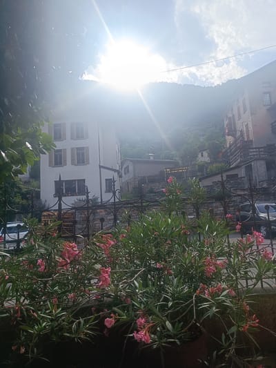 The image shows a street scene in Serravalle, Switzerland, with a bright sun and some clouds in the sky. In the foreground, there are pink oleander flowers in bloom, with green leaves and branches. Behind the flowers, there is a black metal fence. Beyond the fence, there are several buildings, including a white three-story building with windows and shutters, and a brown building with balconies and windows. There are also trees and vegetation on a hillside in the background. In the lower left corner, a white car with a license plate is visible, and in the lower right corner, a dark-colored car is parked on the street. The scene appears to be a residential area, with a mix of old and new architecture.