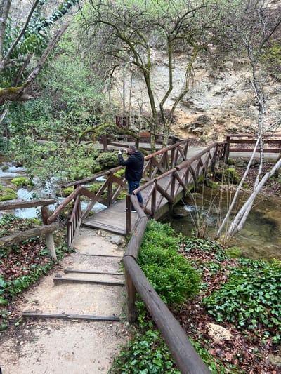 The image depicts an outdoor natural environment, identified as the Veliki Buk waterfall area in Despotovac Municipality, Serbia. A single adult male, viewed from behind and slightly to the left, stands on a rustic wooden footbridge. He wears a dark-colored hooded jacket, blue jeans, and light-soled sneakers. His hands are raised, holding a dark-colored smartphone or small camera horizontally, pointed towards the left of the frame, indicating he is taking a photograph or video of the adjacent stream or a feature beyond it.
The wooden bridge features log-style railings and crisscrossed vertical supports, spanning a clear, shallow stream that flows from left to right across the scene. The stream bed contains visible rocks and green mossy patches, with ripples on the water's surface indicating current. A dirt or gravel pathway, partially obscured by fallen brown leaves and green ivy-like ground cover, leads to the bridge. Several rough wooden steps are integrated into this pathway.
The environment is heavily vegetated. Dense green ivy and other low-lying plants cover the ground on both sides of the path and stream. Deciduous trees with budding green leaves and some bare branches are abundant throughout the scene. Moss is visible on rocks in the stream and on some tree trunks. In the background, a light-colored rocky cliff face or embankment rises, partially visible through the trees. Additional wooden railings or benches are faintly discernible on the far side of the stream, further into the background. The lighting is diffused, consistent with an overcast day or a shaded area.