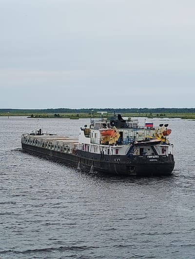 A freighter named "ГВАРДЕЙСК" sails on a body of water. The freighter has a long, dark hull and a white superstructure with orange life rafts. The freighter is loaded with cargo. In the background, there is a strip of green trees and a cloudy sky. The name of the city is not discernible from the image, nor is it possible to determine the specific location within Novokemskii, Russia from the provided image.