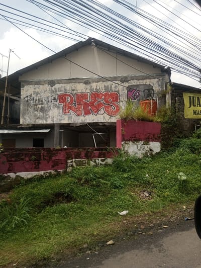 This image depicts a weathered two-story building situated in Chori, Nigeria, under an overcast sky. The lower facade of the building is prominently marked with large, red graffiti spelling "REKS," accompanied by smaller purple graffiti to its right. The ground floor appears open or partially collapsed, revealing a dark interior space. To the right of the main structure, an adjacent building features a partially visible yellow banner displaying text that includes "JUAN" and "MAS," and an orange utility box mounted on its wall. A low retaining wall, painted dark pink/maroon on its upper section and white on its lower section, with visible moss and staining, runs horizontally across the mid-ground. Dense green vegetation covers the sloped earth in the immediate foreground, leading up to the retaining wall. Numerous black utility lines crisscross the upper portion of the frame against the cloudy sky. A segment of a dark paved road with scattered white debris and small stones is visible in the bottom right corner. No individuals are present in the scene.
