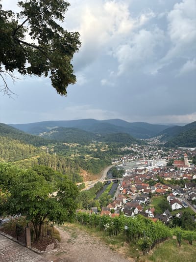 This is an elevated, wide-angle shot of the town of Gernsbach, Germany, nestled within a valley of rolling, tree-covered hills. In the foreground, a dirt path winds down a grassy slope dotted with grapevines. To the left, a mature tree with green foliage stands beside a brick walkway and a black metal fence.
The middle ground features the town itself, characterized by densely packed buildings with red-tiled roofs. A prominent church with a tall, red-roofed steeple is visible. A road curves along the edge of the town, running parallel to a small river. Industrial buildings, including one with a tall smokestack, are also present.
The background is dominated by layers of hazy, green mountains stretching towards a cloudy, overcast sky. The lighting suggests it is late afternoon or early evening. No people or animals are visible in the image.