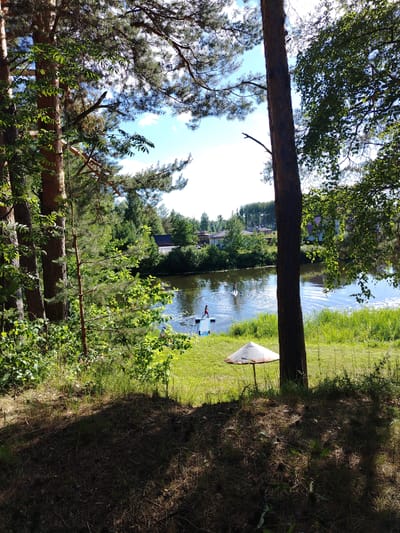 The image captures a serene natural scene with a body of water in the background, possibly a lake or river, surrounded by lush green trees and vegetation. The foreground is dominated by the shadows of trees, with a patch of dry pine needles on the ground. A tall, rough-barked tree trunk stands prominently in the center-right of the frame. In the middle ground, on the grassy bank, there is a weathered, white mushroom-shaped umbrella resting on a metal pole. The water is calm, reflecting the blue sky and white clouds. Two individuals are visible on the water, each on a paddleboard. One person, wearing red shorts, is standing near a floating platform, while another, further out on the water, is also standing on a paddleboard. In the distance, across the water, a row of houses with dark roofs is nestled amongst the trees, suggesting a settlement or residential area. The overall impression is one of a peaceful, sunny day in a natural setting, likely a recreational area near a populated location. This scene could be located in or around the city of Stroitel', Russia, given its description as a residential area with natural surroundings.