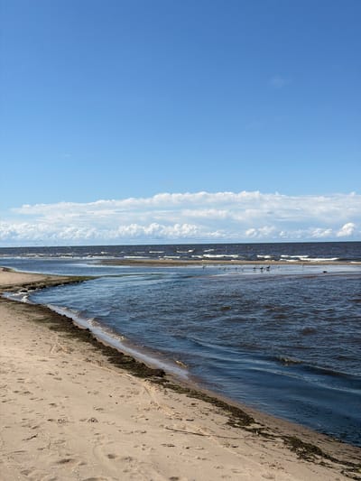 The image depicts a sandy beach and the sea under a bright blue sky with scattered white clouds. The water is a dark blue with visible waves. Several birds are scattered on the sandbar and in the shallow water. The foreground shows footprints in the sand, suggesting human presence. The scene appears to be a natural coastal environment. The location is Bātciems, Latvia, a seaside resort known for its beaches.
