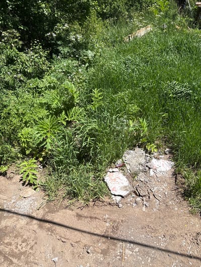 The image depicts an outdoor scene in Jermuk, Armenia, characterized by dense green vegetation and debris. In the foreground, a dirt path runs diagonally from the bottom left to the top right of the frame, showing dry, cracked soil with a dark shadow of what appears to be a thin wire or cable stretching across it. To the right of the path is an area of overgrown, tall green grass. Towards the center of the image, amidst the vegetation, there are scattered pieces of broken concrete and what looks like faded, reddish-pink tiles, suggesting a small pile of construction debris or remnants of a former structure. Behind this debris, the vegetation continues to grow densely, with various types of plants, including large-leafed plants and smaller white wildflowers. The background is filled with a lush, green natural environment, with trees and more foliage. The scene appears to be an unkempt area on the outskirts or within a less maintained part of the city. There are no people visible in the image.