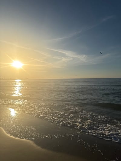 A serene seascape depicts the Baltic Sea at sunrise in Ustka, Poland. The sun, a radiant orb of golden light, casts a shimmering path across the gentle waves. A lone seagull is captured in flight against the soft hues of the sky, its silhouette a stark contrast to the tranquil expanse. In the distance, industrial structures hint at the proximity of the city, while the foreground showcases the wet sand of the beach, kissed by the receding tide. The scene is bathed in the warm glow of dawn, creating an atmosphere of peace and natural beauty.