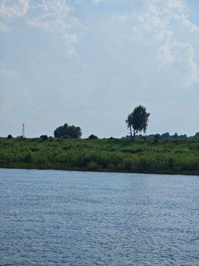 The image depicts a wide, rippling body of blue water in the foreground, likely a river or lake. The water's surface is textured with small waves and reflections. In the background, a dense line of green vegetation forms a verdant embankment. Scattered within this greenery are several trees. On the left side of the embankment, a tall, slender metal tower with a lattice structure stands out against the sky. A single, larger tree with a distinct canopy is situated towards the right of the embankment. The sky above is a pale blue, punctuated by fluffy white clouds. The scene appears to be a natural landscape, possibly bordering a town or rural area, and is set in Verkhnepashino, Russia.