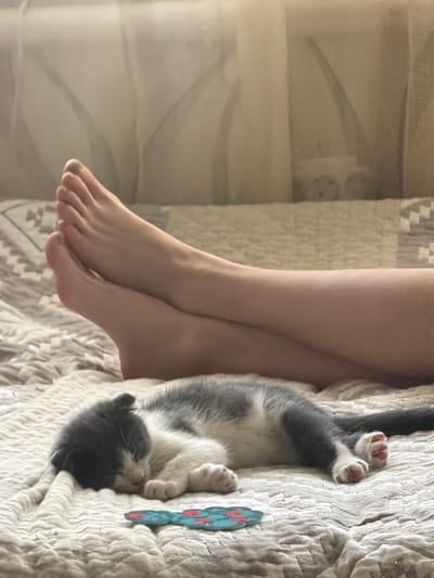 A domestic short-haired kitten, predominantly white with grey markings on its head and back, is sleeping on a textured, light-colored blanket. The kitten is lying on its side, with its paws tucked underneath its body. A small, blue, oval-shaped object with red markings is positioned in front of the kitten. In the background, a person's bare legs are visible, with their feet crossed. The legs appear pale and are positioned above the kitten on the same blanket. The environment suggests an indoor setting, possibly a bedroom, with soft lighting and a draped curtain or fabric in the background. The image was captured in Komsomolskiy, Russia.