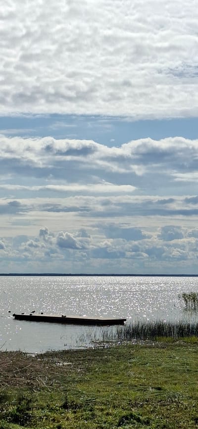This media file depicts a scene by a body of water with a backdrop of a cloudy sky. The image is oriented vertically.

The subjects include a body of shimmering water, likely a lake or bay, which occupies the right side of the frame. The water's surface is highly reflective, catching the sunlight and creating a sparkling effect. A dark, weathered wooden post stands partially submerged in the water, suggesting it might be part of a dock or marker. To the right of the water, a dense area of green grass and reeds grows along the shoreline, indicating a natural, potentially marshy, environment. The left side of the image is dominated by a vast sky filled with an array of clouds. These clouds appear in various formations, some wispy and thin, others more voluminous and textured, casting subtle shadows. The overall impression of the sky is dynamic, with a sense of movement and depth.

No people or specific activities are evident in the image. The scene is natural and serene.

Notable details include the bright sunlight reflecting off the water, which suggests it is daytime, likely mid-morning or afternoon given the angle of the light. The weather appears to be fair with a significant cloud cover, but the sun is breaking through. The presence of grass and reeds points to an outdoor, natural setting. There is no visible text within the media file.

Given the location context of Valma, Estonia, the scene likely portrays a landscape characteristic of the Baltic region, possibly a coastal area or a large inland lake. The overall mood conveyed is one of peacefulness and natural beauty.
