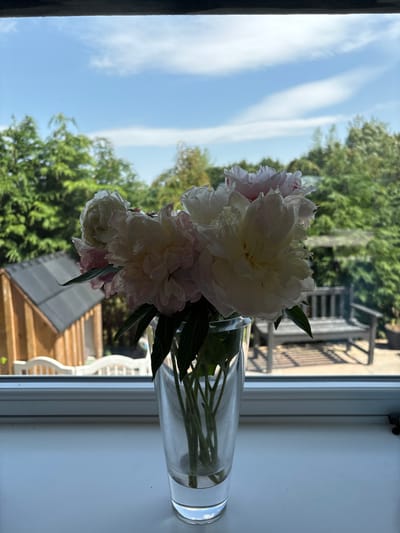 A vase of white and pink peonies rests on a windowsill. Outside, a bright blue sky with wispy clouds is visible, along with green trees and a glimpse of a wooden structure. The transparent vase reveals the flower stems submerged in water. The composition is a mix of indoor and outdoor elements, with the flowers creating a focal point against the backdrop of the natural scenery.