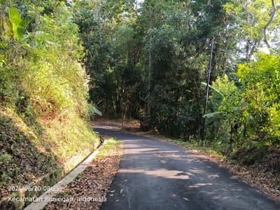 The image shows a paved road winding through a densely vegetated area, likely a rural road in the Kuningan region of Indonesia. The road surface is asphalt and appears somewhat worn, with scattered dry leaves. To the left of the road, a concrete drainage ditch runs along a grassy, sunlit embankment covered in vegetation and fallen leaves. On the right side of the road, the vegetation is thick, consisting of various trees, bamboo, and other plants, creating a shaded canopy. A dark pole with some red and white markings stands near the right edge of the road, partially obscured by foliage. The lighting suggests it is daytime, with sunlight dappling the road and the embankment. The text overlay at the bottom left indicates the date and time as "2026/06/20 08:25" and the location as "Kecamatan Kuningan, Indonesia."