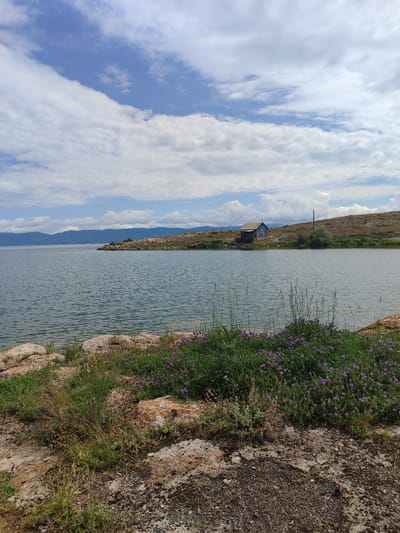 A serene landscape features a calm body of water, likely Lake Sevan, with a small blue building situated on a rocky, grassy island in the distance. The building appears to be a house or a small structure with a light-colored roof and a cross on top. In the foreground, the rocky shoreline is covered with green grass and scattered purple wildflowers. Beyond the island, rolling hills and mountains form the backdrop under a sky filled with fluffy white clouds against a pale blue expanse. A utility pole stands near the building. The overall scene conveys a sense of peaceful natural beauty.