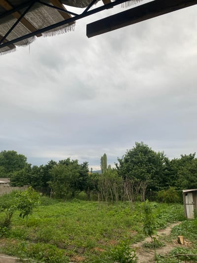 The image shows a view of a backyard in Gilyar, Russia. The sky is overcast and there are some clouds. In the foreground, there is a patch of green grass and some plants. In the background, there are trees and a small wooden shed. There is also a brick wall and a fence. The scene appears to be a rural or suburban area.