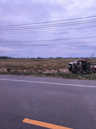An overcast sky hangs over a vast, recently harvested rice field in Bateiiliek, Indonesia. The scene is viewed from a roadside perspective, with a paved asphalt road occupying the foreground. A solid white line marks the edge of the road, and a broken yellow line is partially visible further left.
The field itself stretches from the road to the distant horizon, covered in golden-brown stubble, indicating that the rice has been reaped. Green grass and sparse vegetation line the immediate edge of the road, separating it from the expanse of the field.
Several power lines traverse the upper portion of the sky, adding an element of human infrastructure to the otherwise natural landscape. To the left side of the frame, near the road and partially hidden by grass, a person crouches, appearing to wear dark clothing and a cap. On the right side of the image, also adjacent to the road, a large, dark-colored farm machine, likely a combine harvester, sits in the field. One or more individuals are visible around this machinery, with one person in a light-colored shirt leaning into it, suggesting maintenance or operational activity.
In the far distance, beyond the field, a line of palm trees and other tropical vegetation marks the horizon, interspersed with what appear to be distant structures or a village. The cloudy sky suggests either early morning, late afternoon, or simply an overcast day, providing soft, diffused light across the scene. There is no visible text in the image. The overall impression is one of rural agricultural activity post-harvest.