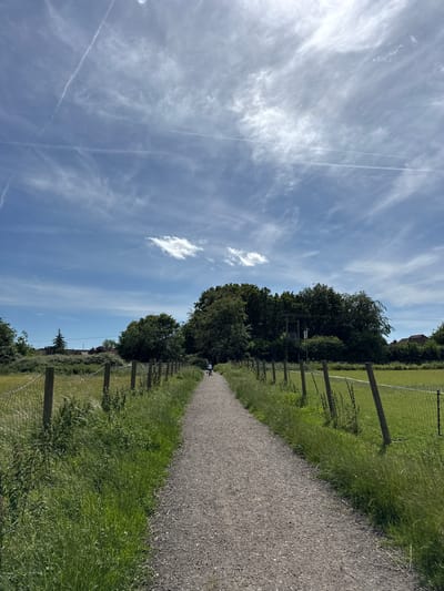 A gravel path leads into the distance through a grassy field under a bright blue sky with wispy white clouds and several contrails. A person is cycling away from the camera down the path. A wooden fence with wire mesh runs along the right side of the path, separating it from the field. Trees and some buildings are visible in the distance.