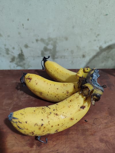 Three ripe yellow bananas with brown spots are arranged on a wooden surface. The bananas are positioned diagonally, with the closest one in the foreground and the other two behind it. The background is a textured, light-colored wall. The scene appears to be indoors, likely in a domestic setting. There are no people or any identifiable actions occurring in the image. The location in Lancokpanteara, Indonesia, is not visually indicated by any elements in the photograph.