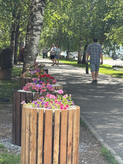 A man in a blue and white checkered shirt and denim shorts walks away from the camera on a paved walkway lined with trees and flower planters. He is carrying a black plastic bag. In the foreground, several wooden planters are filled with colorful flowers, including pink, purple, and yellow varieties. Beyond the man, other people are walking on the path, and cars are visible on the left side of the image. The environment appears to be a park or a tree-lined street on a sunny day.