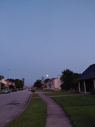 The image depicts a suburban street scene in Nicholasville, Kentucky, USA, during dusk. The sky is a clear, pale blue, with the moon visible in the upper right quadrant of the frame. A paved street runs horizontally across the lower half of the image, with a sidewalk to its right. Several parked cars are visible along the street, including a light blue sedan on the left and darker colored vehicles further down. Residential houses line both sides of the street, characterized by their pitched roofs and various architectural styles. Green lawns with scattered clover are present in front of the houses, and mature trees are scattered throughout the neighborhood, some casting shadows on the ground. A red mailbox and a fire hydrant are positioned near the sidewalk on the right side of the street. The overall atmosphere is quiet and serene, indicative of a residential neighborhood at the end of the day.