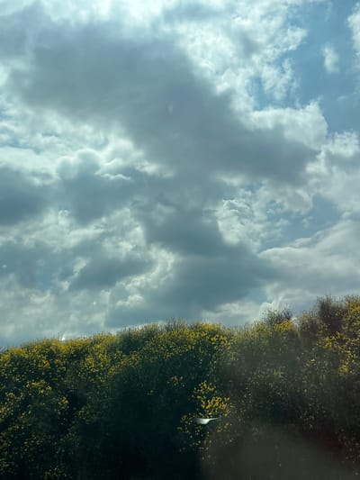 The image shows a landscape with a cloudy sky above a dense bush line covered in small yellow flowers. The scene is devoid of any people or specific landmarks to indicate a location within Vratitsa, Bulgaria. The environmental conditions are overcast, with a mix of dark and lighter clouds suggesting variable weather. The focus is on the natural elements of the vegetation and the sky.