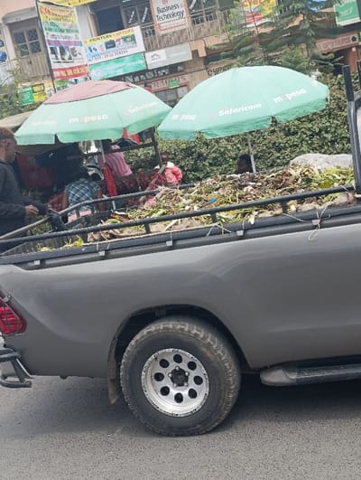 The image depicts a street scene in Matungulu west ward, Kenya. In the foreground, the rear section of a dark grey pickup truck is visible on an asphalt surface. The truck's bed is loaded with a substantial quantity of organic waste, including plant matter, leaves, and various debris. The vehicle features a silver multi-spoke alloy rim on its rear wheel, fitted with a rugged-tread tire, and a black step bar below the passenger door.
Behind the pickup truck, a market stall operates under two large, light green umbrellas, both branded with "Safaricom" and "m-pesa" logos. Several individuals are present in this market area. A male with light-colored hair, dressed in a dark shirt, stands to the left. Under the umbrellas, multiple people are engaged in market activities; a person in a pink shirt is visible behind a counter, another in a blue plaid shirt is bent over, and a small child in a red jacket stands near baskets of red produce, likely onions. The head of another individual is partially visible behind the truck's organic load, situated under the right umbrella.
The background features multi-story commercial buildings displaying various business signs, including "BUSINESS & TECHNOLOGY," "PRINTERS LAPTOPS," "CCTV INSTALLATION," and partial visibility of "EQUITY BANK" signage. Dense green foliage and bushes are present behind the market stalls and between the structures. The scene is illuminated by natural daylight.