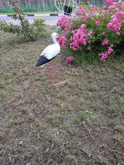 The image shows a statue of a stork on a patch of grass next to a bush of pink roses. The stork is white with black wings and red legs and beak. The roses are in full bloom, and the grass is dry and patchy. In the background, there is a green fence and trees. The scene appears to be in a park or garden. The provided context indicates the location is in the Salonka rural council of Belarus.