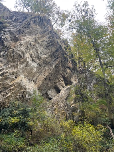 A large, gray rock formation dominates the scene, partially covered in trees and vegetation. The rock face appears to be a cliff, with layers of stratification and crevices visible. The sky is pale and overcast. The image is taken from a low angle, looking up at the rock formation. Puerto Almanza, Argentina, is not explicitly evident from the image.