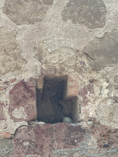 A close-up shot reveals a section of an aged, weathered brick wall. The wall is constructed with a combination of irregularly shaped stones and fragmented bricks, exhibiting significant erosion and deterioration of the mortar and surface layers. A square cavity is visible within the wall, possibly a missing brick or intentional opening, exposing the interior of the wall and revealing a small, round, white object partially obscured within the recess. The coloration of the wall varies, with some areas exhibiting a reddish-brown hue from the bricks and other parts showing a greyish-white from the deteriorated mortar and stone. The surrounding environment and specific location in Tlalnepantla, Mexico, cannot be determined from the provided image. No people or interactions are visible.