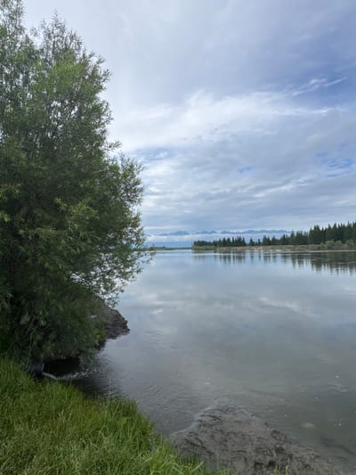 The image depicts a serene natural landscape with a body of water, likely a river or lake, reflecting the cloudy sky. On the left, a lush green tree with slender leaves overhangs the water's edge, with dense green grass growing on the bank. A dark, rocky embankment is visible near the tree. In the mid-ground, the water is calm, with subtle ripples. Across the water, a dense line of coniferous trees forms the distant shoreline, backed by a range of hazy mountains under a vast, overcast sky. The scene appears to be located in a rural or natural setting, possibly Zhemchug, Russia, given the context. There are no people or explicit man-made structures visible, other than a dark pipe discharging water into the river from the grassy bank on the far left. The overall atmosphere is peaceful and natural.