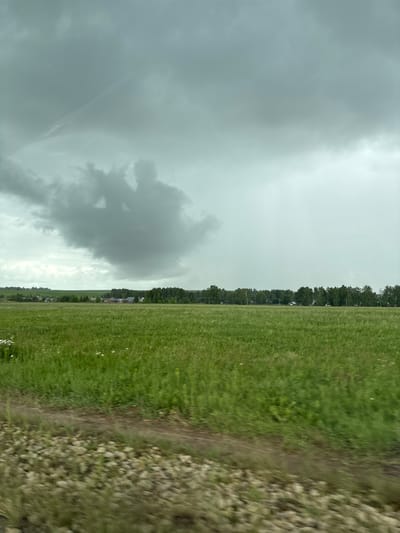 This image depicts a cloudy, overcast day over a rural landscape, likely in or near Tamshiner, Russia. The foreground shows a dirt path with gravel and sparse vegetation. Beyond the path is a large, flat, green field covered in grass and scattered wildflowers. In the middle ground, a line of trees forms a dense border along the horizon, with several small buildings and structures interspersed within the treeline, suggesting a small village or hamlet. The sky is dominated by heavy, dark gray storm clouds on the left side of the frame, with lighter, diffused clouds on the right. A faint rainbow-like arc is visible in the sky on the upper left. The overall impression is one of a pastoral scene under the threat of rain.