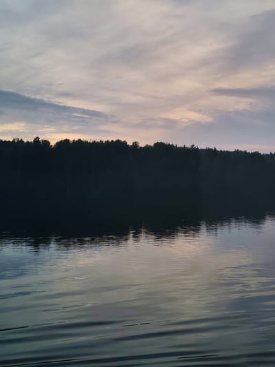 The image depicts a body of water with a tree line in the background under a cloudy sky. The water surface exhibits ripples and reflections of the sky and the dark silhouette of the trees. The sky displays a gradient of colors, ranging from pale yellow and pink near the horizon to various shades of grey and white clouds higher up. The scene appears to be a natural landscape, possibly a lake or a wide river, with dense foliage forming the treeline. The lighting suggests it could be dawn or dusk. There are no people or man-made structures visible in the image, indicating a secluded or natural environment. The location in Kurikaevo, Russia, suggests a natural setting within that region.