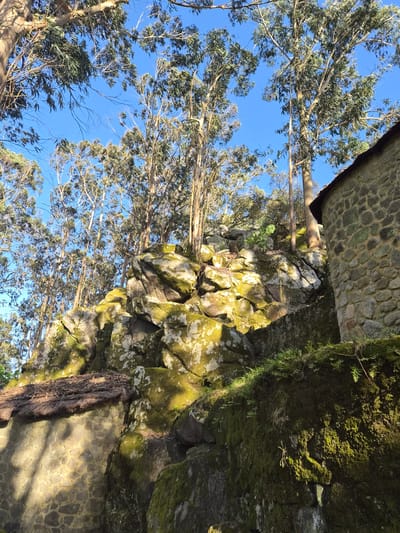 The image depicts a view upwards towards a stone structure partially covered in moss, possibly an old building or wall. Some stones are covered in a bright green moss. There are trees with dense branches and light green leaves extending towards a clear blue sky. The lower portion of the stone structure appears to be a wall constructed of smaller stones. The location is Esposende, Portugal.