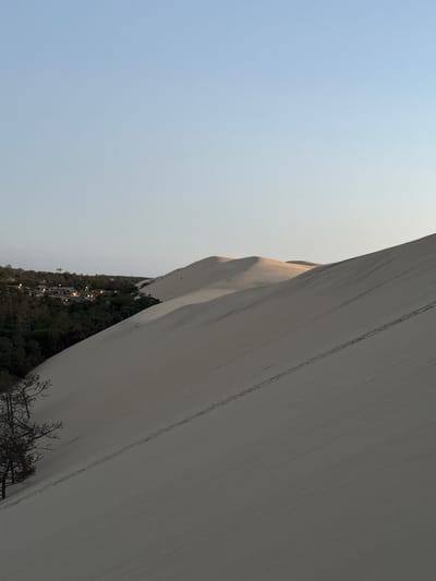 The image depicts the Dune of Pilat, a prominent sand dune located in La Teste-de-Buch, France. The foreground is dominated by the vast expanse of the sand dune, characterized by its smooth, undulating surface and subtle shadows. Footprints are visible on the sandy slope, indicating recent human activity. In the midground, a dense forest of pine trees is situated at the base of the dune. Nestled within the trees are several buildings, appearing to be residential or possibly a hotel, with illuminated windows suggesting it is either dusk or night. The sky above is a pale, clear blue, transitioning to a lighter hue near the horizon. A few small figures can be seen walking on the distant crest of the dune. The overall scene captures the natural grandeur of the sand dune juxtaposed with human presence and infrastructure at its edge.