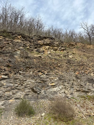 The image shows a rock face with bare trees growing along the top edge. The rock face is layered and composed of various shades of gray and brown rock. Some small plants or shrubs are growing out of the rock. The background shows a cloudy sky. The location in the city of Kosti, Bulgaria is unknown.
