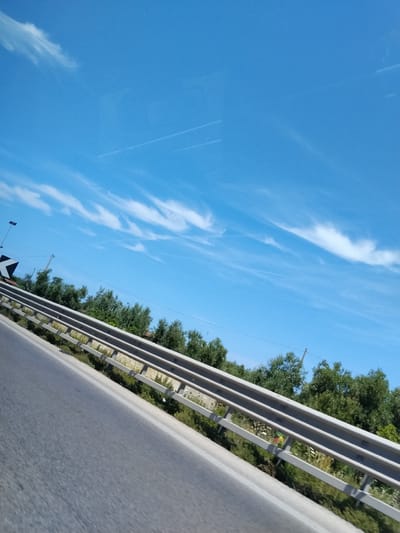 This image captures a roadside scene, likely from a moving vehicle, along a highway or main road in Bisceglie, Italy, on a clear, sunny day. The camera perspective is tilted, positioning the road and a guardrail diagonally upwards from the lower left to the upper right.
The upper two-thirds of the frame are dominated by a bright blue sky, featuring scattered, elongated white clouds consistent with cirrus formations. Multiple faint, white aircraft contrails are visible, intersecting in various points across the sky.
The lower third of the image depicts a grey asphalt road surface, with a continuous white line marking its right edge. Parallel to the road, a light grey, multi-bar metal guardrail extends from the foreground into the mid-distance. Behind the guardrail, a dense band of green trees, appearing to be olive trees, and mixed shrubbery forms a natural border along the road.
On the far left side, a partially visible black and white chevron road sign, indicating a sharp left turn, is present. A dark, slender pole, possibly a street light or utility pole, stands behind the sign, extending into the sky. Faint utility wires are discernible stretching horizontally across the mid-background. The scene contains no human figures or other vehicles.