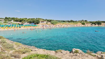 The image depicts a crowded beach on a sunny day in Leporano, Italy. A crescent-shaped sandy beach is filled with numerous sunbathers and umbrellas, predominantly in yellow and turquoise. The water is a clear, vibrant turquoise, with many people swimming and wading in the shallow areas. Some individuals are enjoying leisure activities on inflatable rafts and in the water.
The background features a lush green hillside covered with trees, with some buildings and structures visible among the foliage, suggesting the presence of a resort or town. A few small boats are moored in the distance. The foreground is dominated by rocky terrain covered with dry grass and low-lying vegetation, giving way to the sea. The sky is a clear, cloudless blue. The overall scene conveys a lively atmosphere of a popular summer vacation spot.