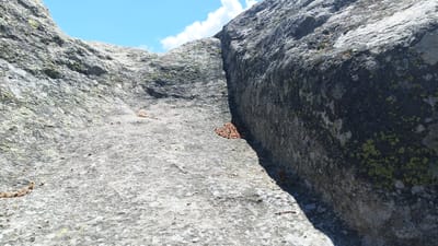 This is a close-up shot of a rocky landscape, likely a natural rock formation in the city of Sini Vrah, Bulgaria. The composition is dominated by two large, gray rocks separated by a narrow crevice. The rock surfaces are textured and marked with various patterns, some areas covered with patches of moss or lichen. In the crevice between the rocks, there is a collection of brown, seed-like debris or dried leaves. The sky, visible at the top, is blue with a few white clouds. The lighting suggests a clear, sunny day.